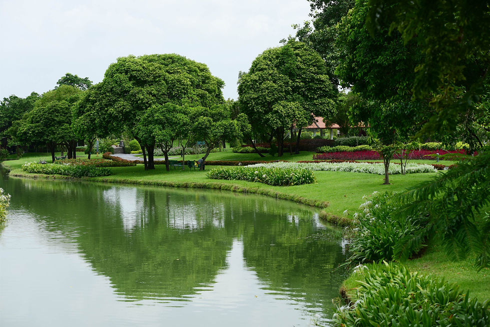 scenic-view-lake-by-trees-against-sky (1).jpg