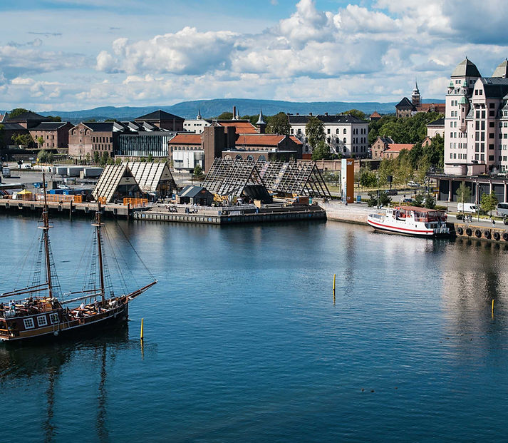 lot-buildings-coast-sea-near-akershus-fortress-oslo-norway (1).jpg