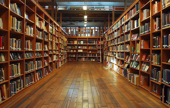 WhatsApp Image 2025-08-05 at 11.33.53 AM.jpeg