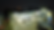 dji_fly_20260123_181022_307_1769172753617_photo_optimized.png