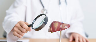 doctor-with-human-liver-model-magnifying-glass-liver-cancer-tumor-jaundice-viral (1).jpg