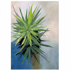 Study in orange & blue 2.jpg