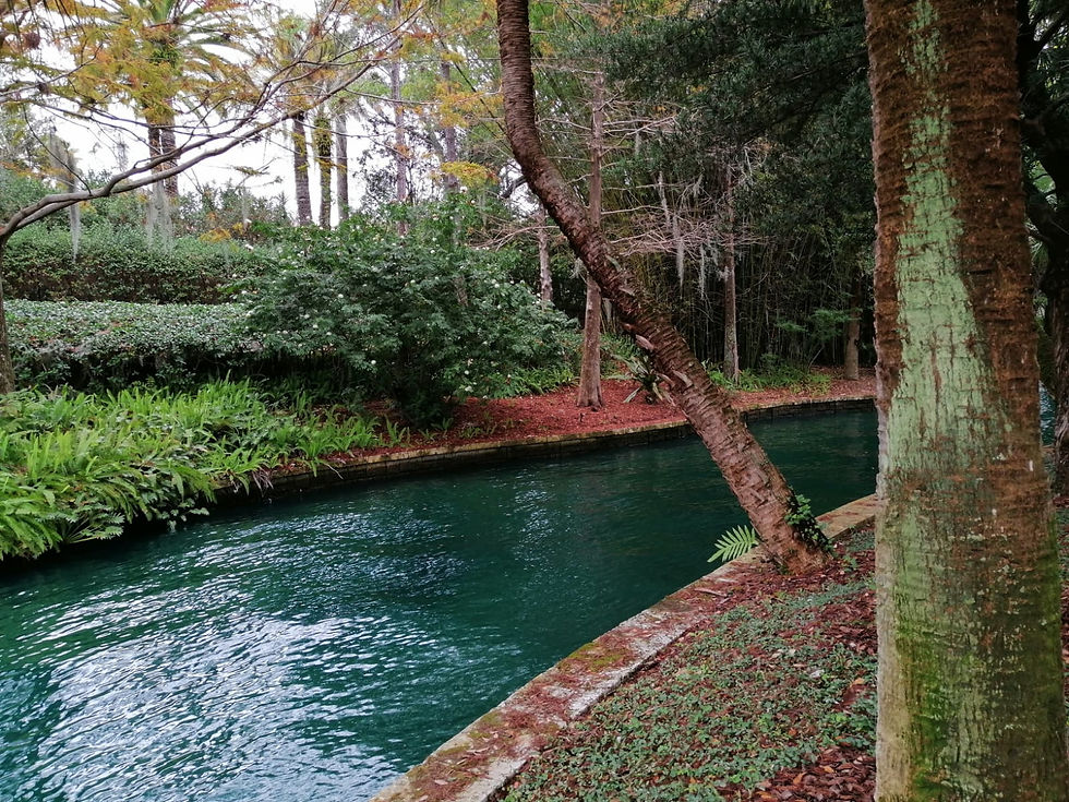 Lago en uno de los senderos boscosos de Universal Orlando Resort