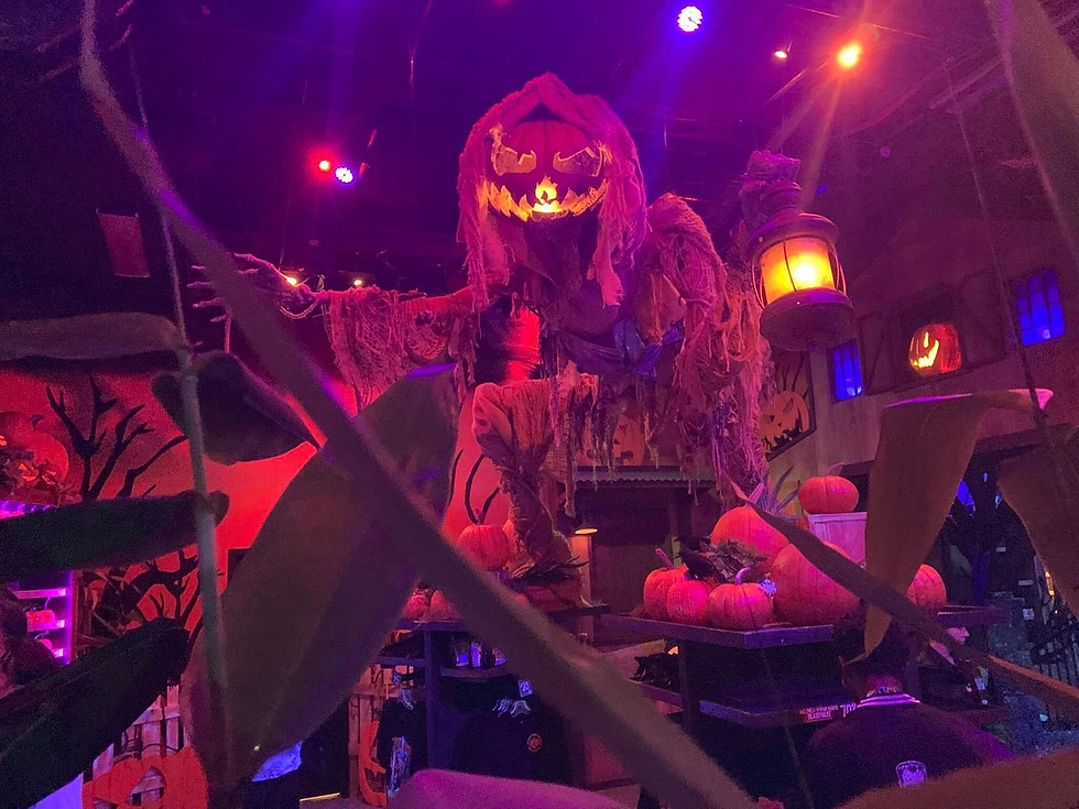 Hombre con cabeza de calabaza en las HHN