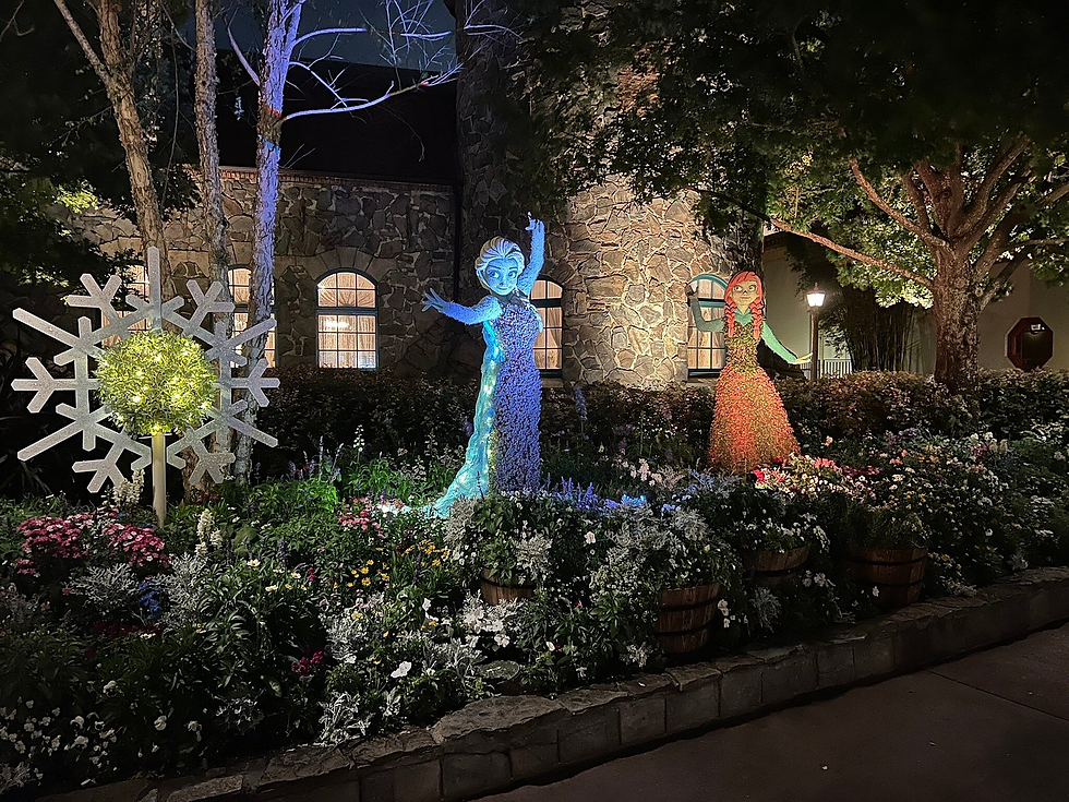 Topiarios de Elsa y Ana iluminados en el Pabellón de Noruega en EPCOT