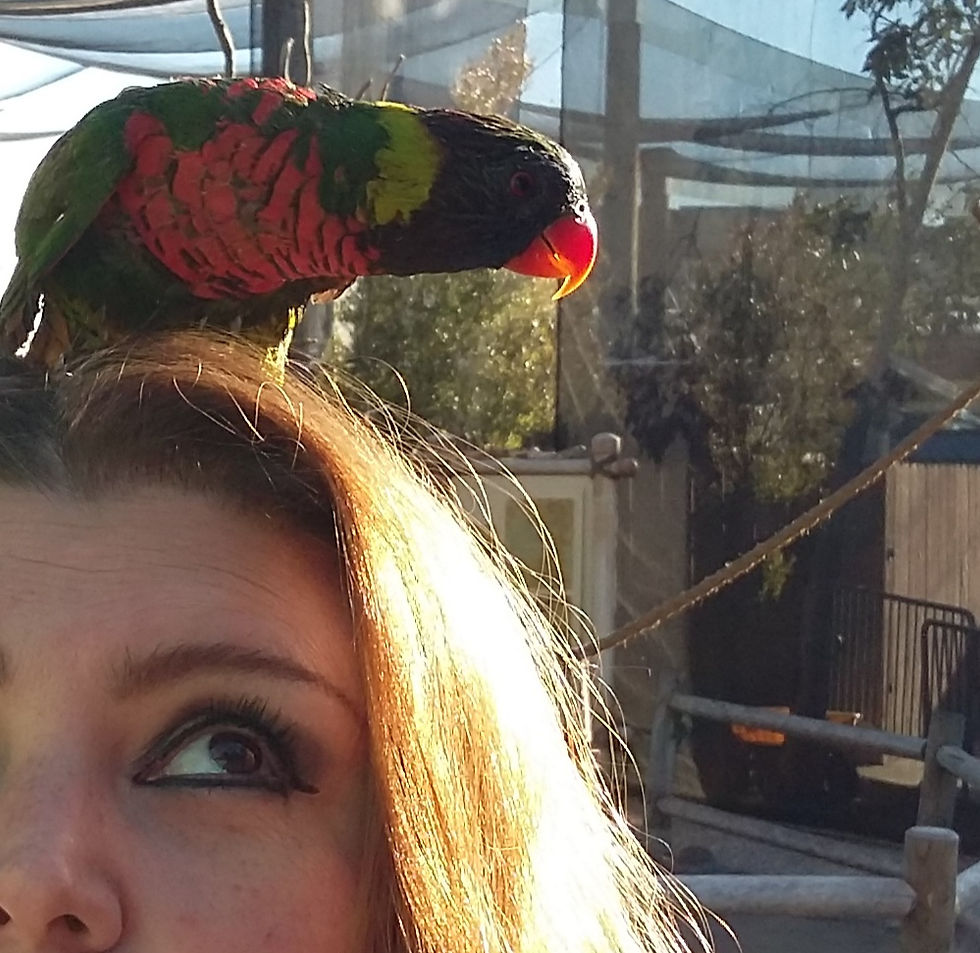 Vanessa Pesqueira en el Acuario del Pacífico en Long Beach, California