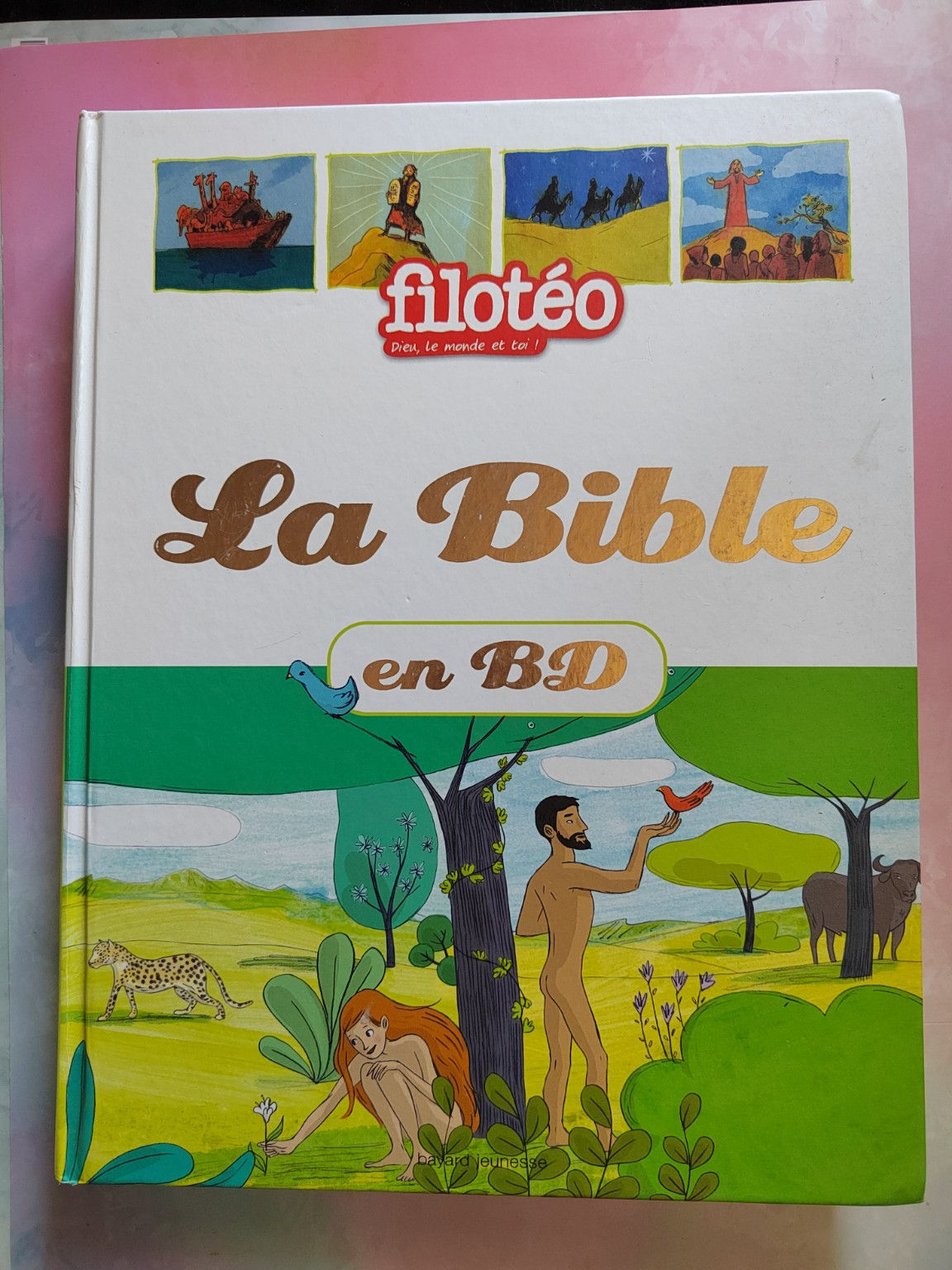 La Bible en BD – Filotéo | Bayard Jeunesse | Album relié