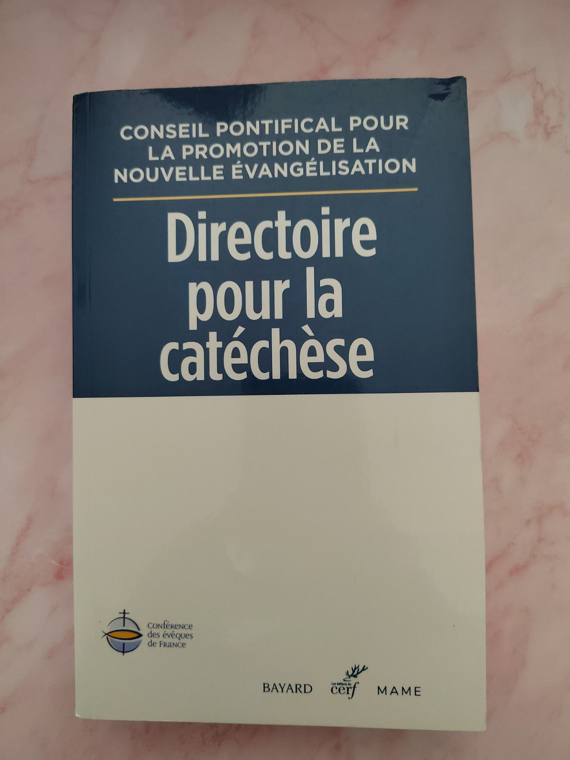 Directoire pour la catéchèse – Document officiel Vatican – Évangélisation