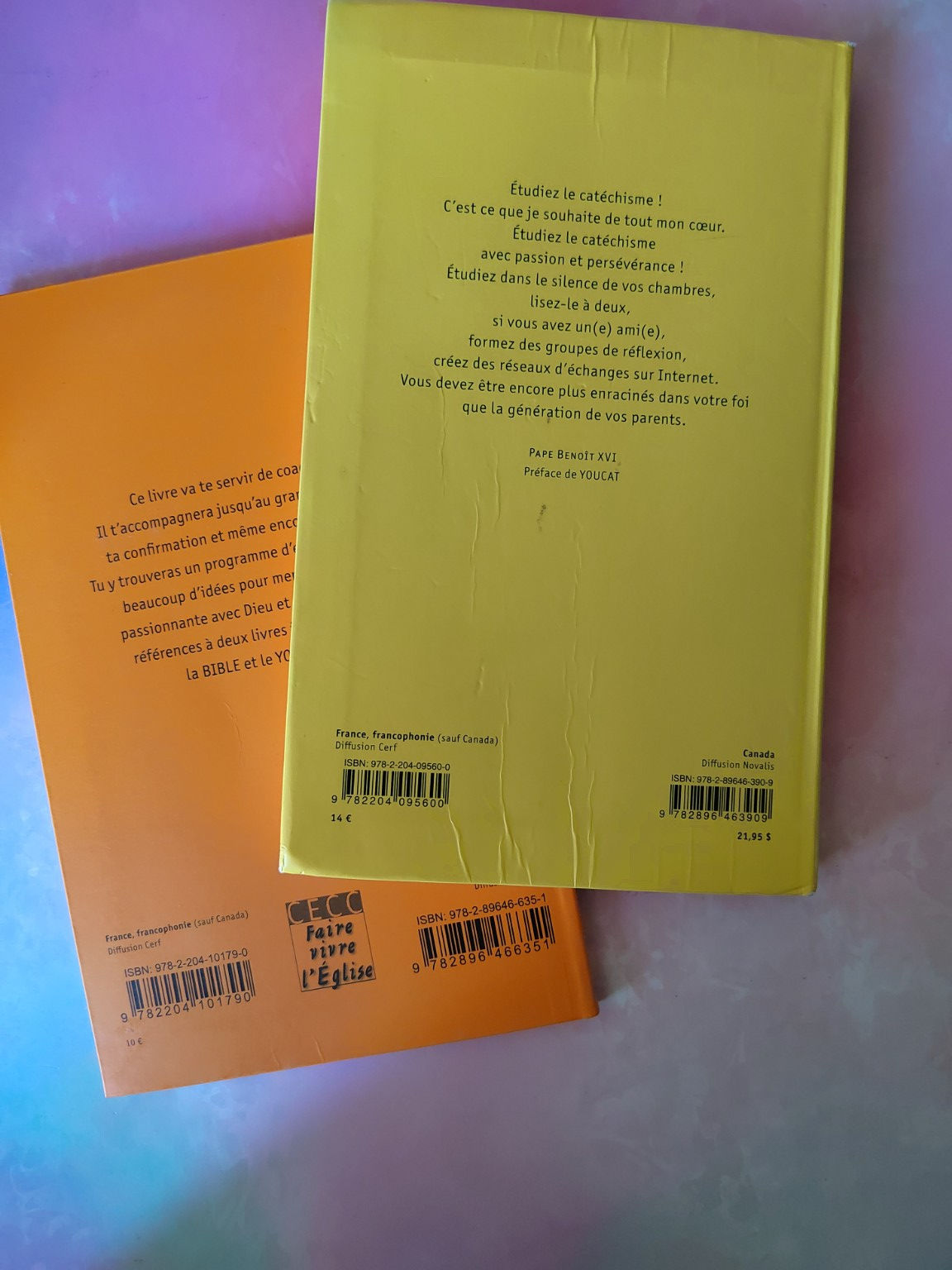 Lot YOUCAT catéchisme et livre de confirmation catholique occasion