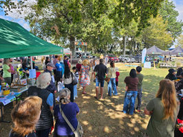 Busy sustainability market day