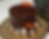 Torta zucca e cioccolato