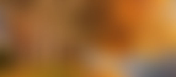 Autunno, tempo di raccoglimento