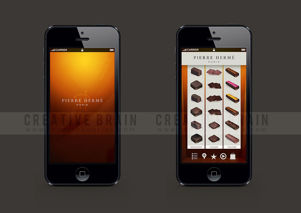 DESIGN SITE WEB PIERRE HERMÉ