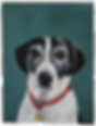 Gayle Stafford Custom Pet Portrait
