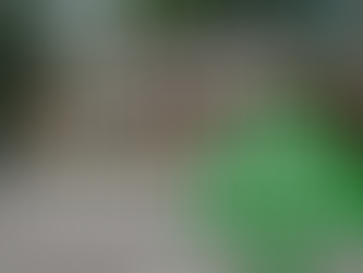 Text "Review Proposed Ordinances" over a blurred brick building background with a green tree graphic, creating a community-focused mood.