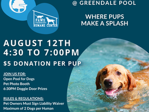Poster for Doggie PAWlooza at Greendale Pool. August 12th, 4:30-7PM. $5/pup. Includes open pool, photo booth, door prizes. Benefits PAWS.