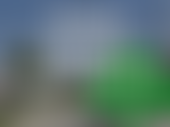 Blurred street scene with large white text: RIDGE AVENUE PLAN SURVEY COMPLETE BY AUGUST 1ST and a green tree icon.