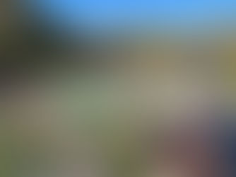 The New Pickleball Courts Are Now OPEN!