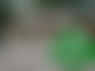 City Administration Office Closed for Arbor Day Activities