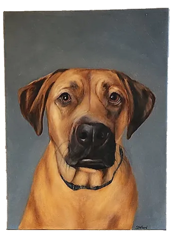 Gayle Stafford Custom Pet Portrait