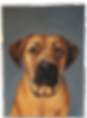 Gayle Stafford Custom Pet Portrait