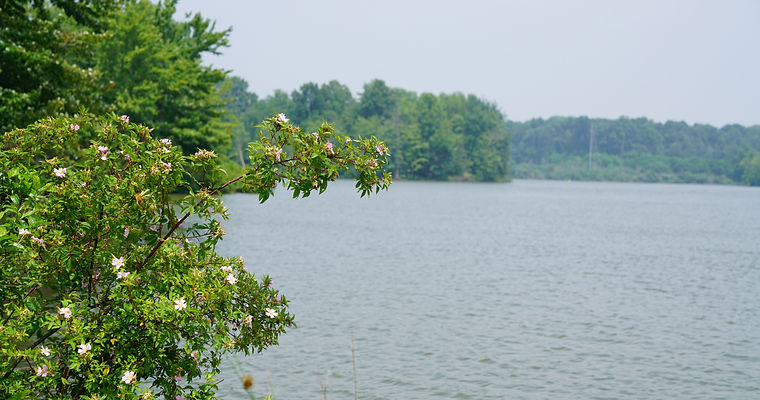 A Photo of the Bischoff Reservoir in Lakeshore Village