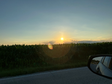 a cornfield at sunset