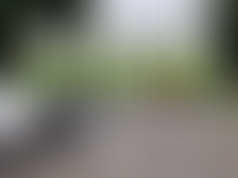 Cars parked along a street lined with trees. Large text reads "PARKING REMINDER." A logo with a tree is visible at the bottom.