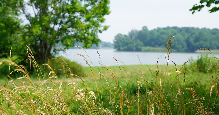 A Photo Approaching the Lake in Lakeshore Village