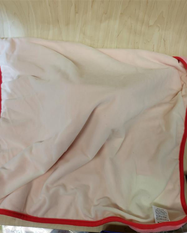 Miniature : Couverture Pokemon Center : Flambino