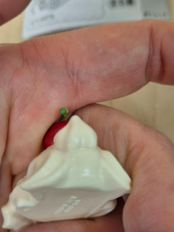 Miniature : Gashapon mini figurine "Whipp Wanchan no kurashi" (Chien chantilly) : Utouto