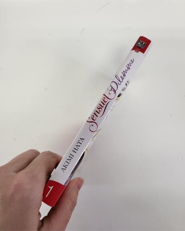 Miniature : Manga Sensuel Dilemme vol.1