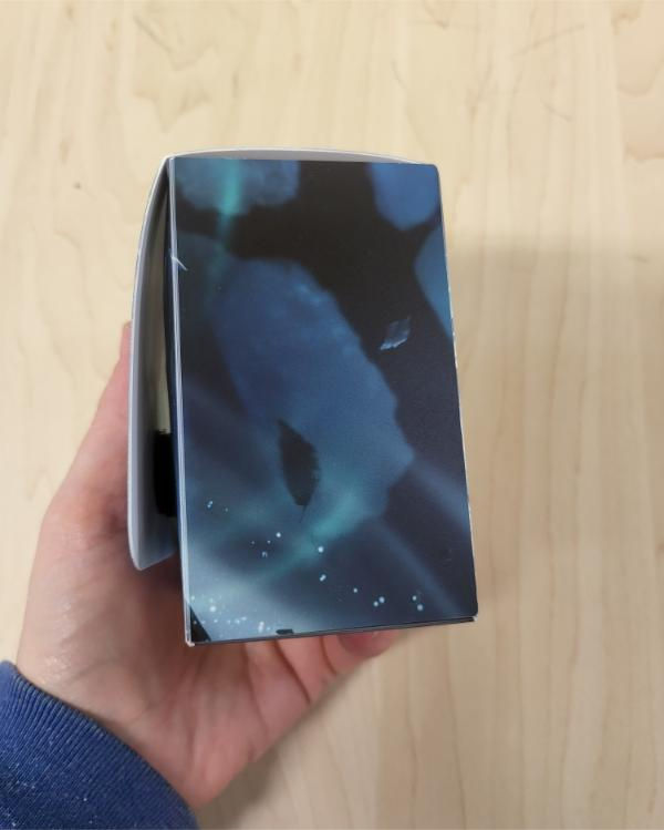 Miniature : Boîte deck (Deck case) Pokemon TCG