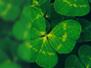 Irish Traditions