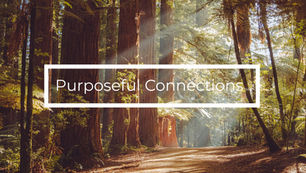 Getting to the root of impact | Purposeful Connections