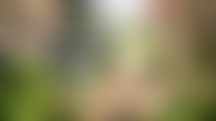 Influence, community, & collaboration | Purposeful Connections