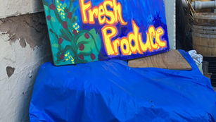 Gardening for Good: What’s Growing in the South Bronx?