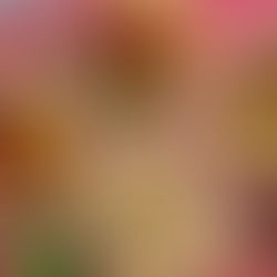 7 CURIOSIDADES DE LA GASTRONOMÍA CHINA!