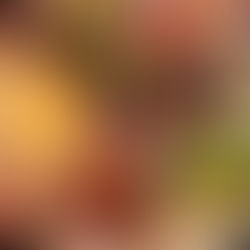 Platos típicos Tailandeses