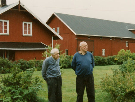 En gårdsgutts dagbok (del 2)
