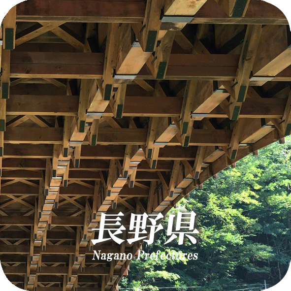 nagano.logo.gif