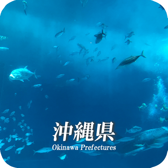 okinawa.logo.gif