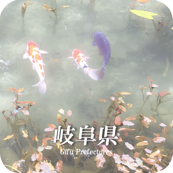 gifu.logo.gif