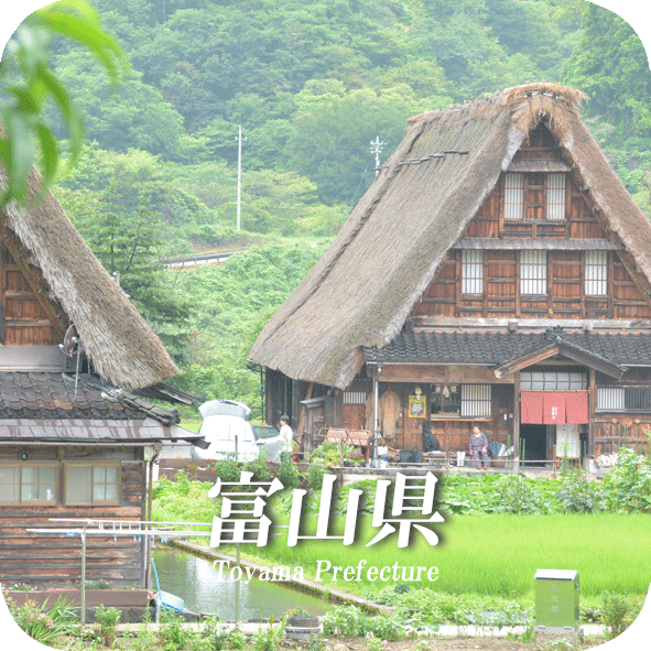 Toyama.logo.gif