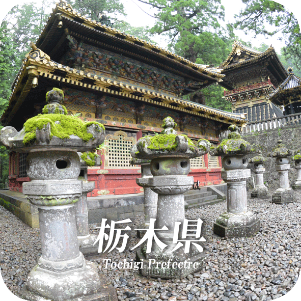 Tochigi.logo.gif