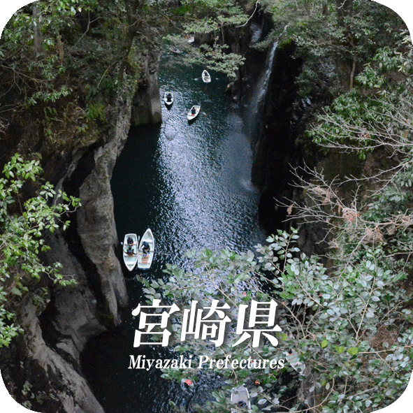 miyazaki.logo.gif