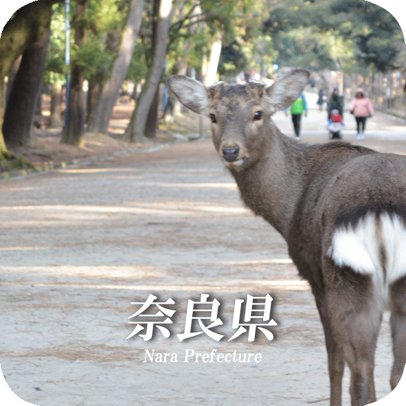 Nara.logo.gif
