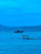 Boot auf dem Meer bei Olivenöl Lesbos Impressionen