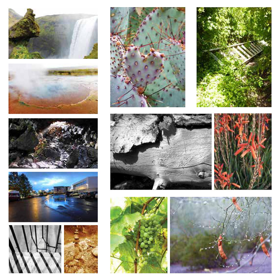 Digital Photography 2