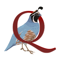 quail-300x300.png
